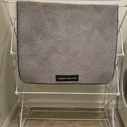 Branded dog beds for boarding kennels