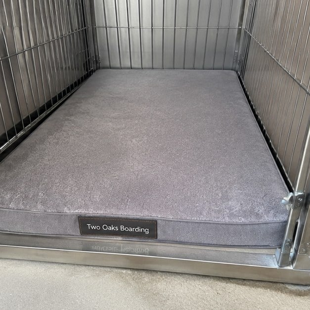 Custom orthopedic dog bed - customer photo