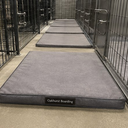Customized dog beds for boarding kennels