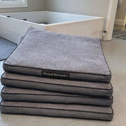 Customized dog beds for breeders and catteries