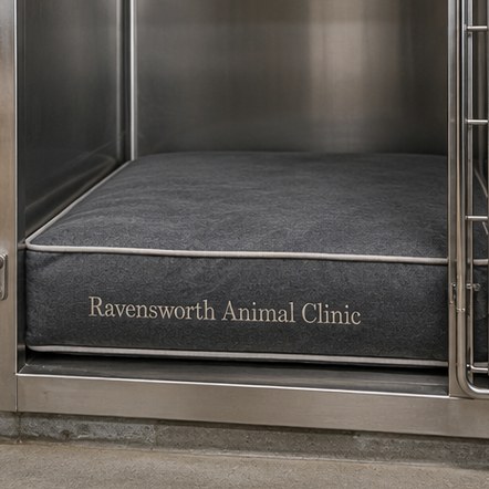 Customized dog beds for veterinary clinics